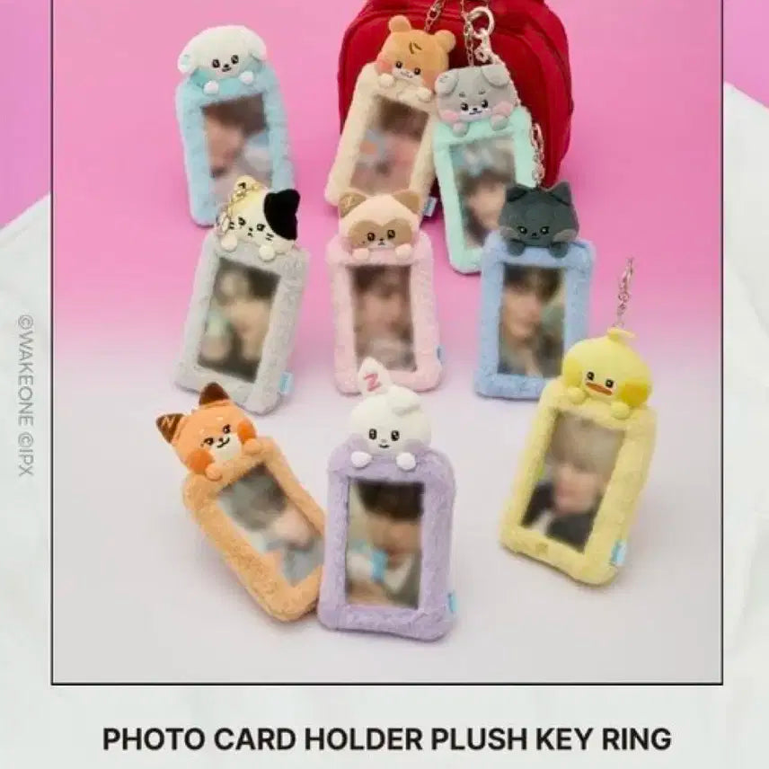 제로니 태니니 포토카드 홀더 플러시 키링 양도 판매 제로베이스원 제베원