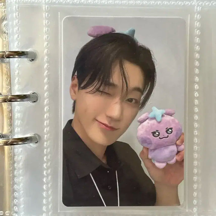 마이티즈 사니요 최산 보뚱이 포카