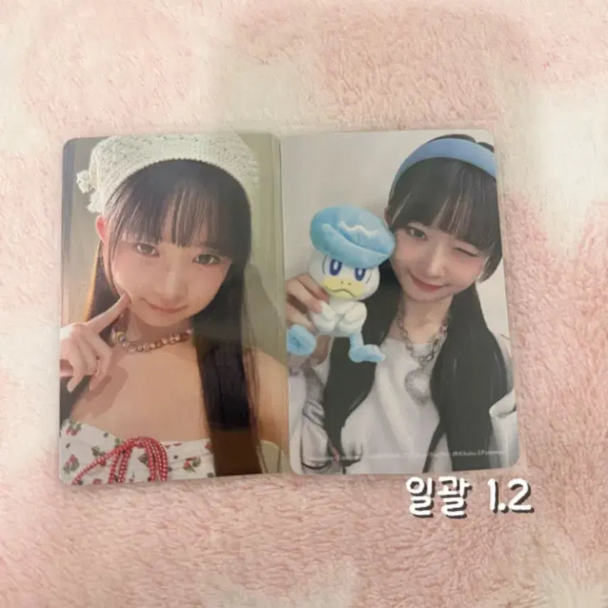 급처 아이브 레이 ALIVE 포토카드 일괄 양도