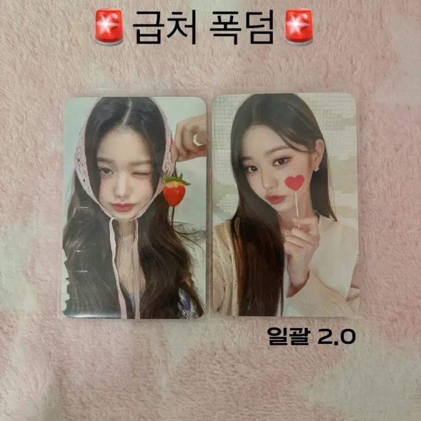 폭덤 아이브 장원영 엠파시 미공포 포토카드 양도