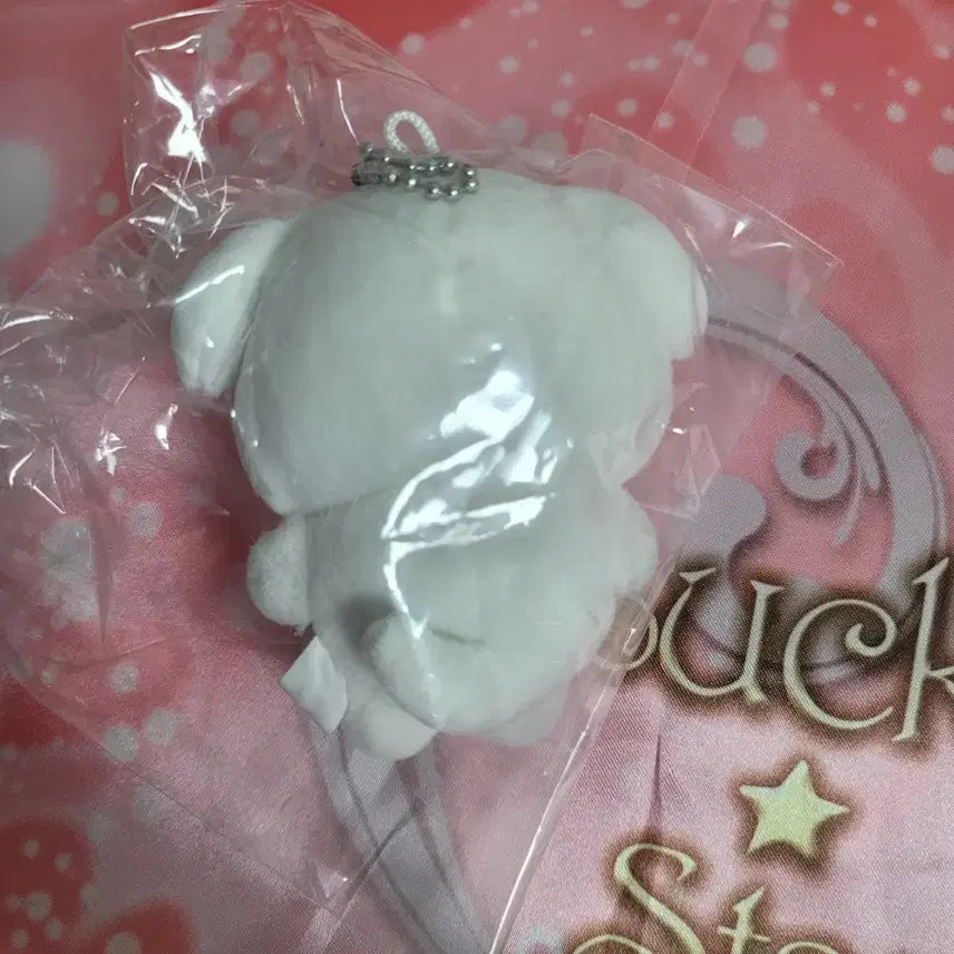 에스파 윈터 직직이 웃직이