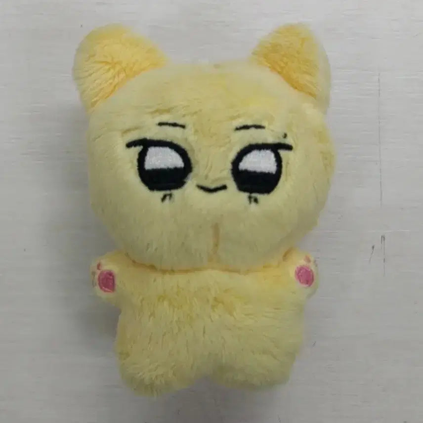 스테이씨 콩테이씨 세롱이