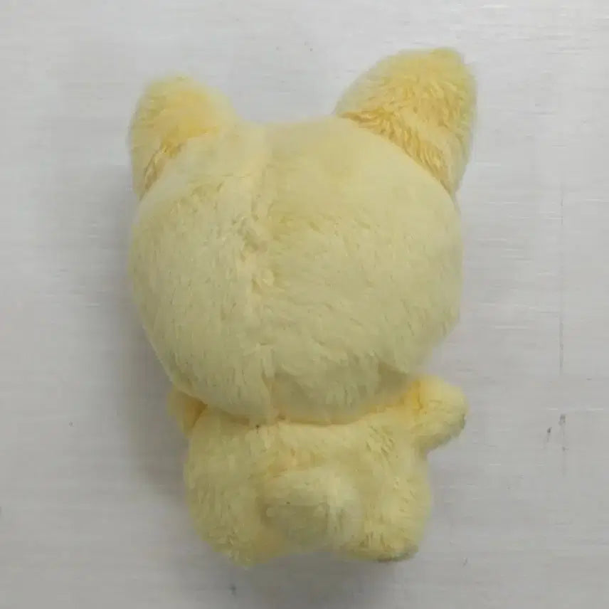 스테이씨 콩테이씨 세롱이