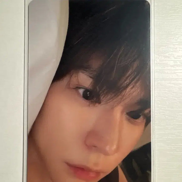 라이즈 은석 침대 포카