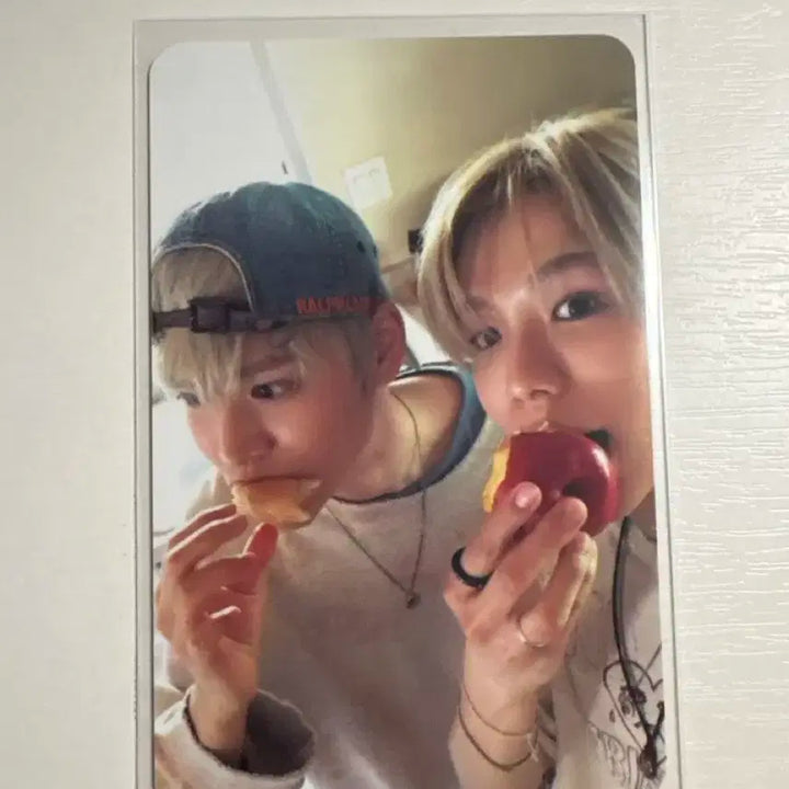 라이즈 은석 쇼타로 유닛 포카