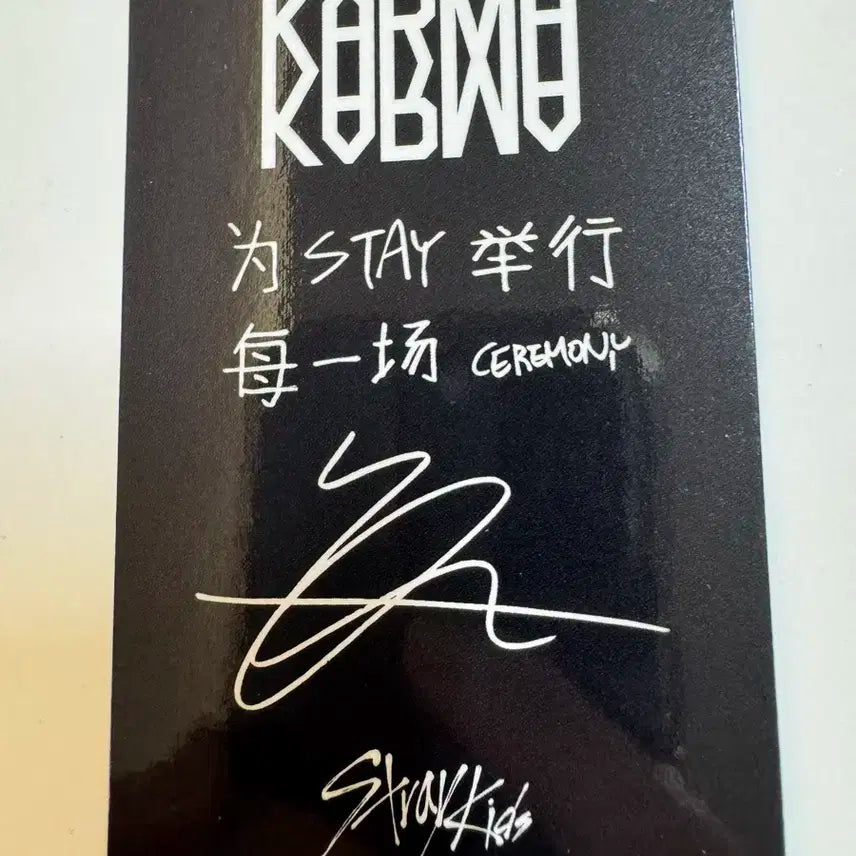 스트레이키즈 스키즈 karma 스타리버 현진