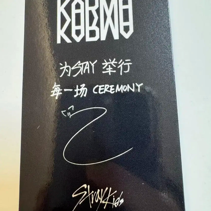 스트레이키즈 스키즈 karma 스타리버 아이엔