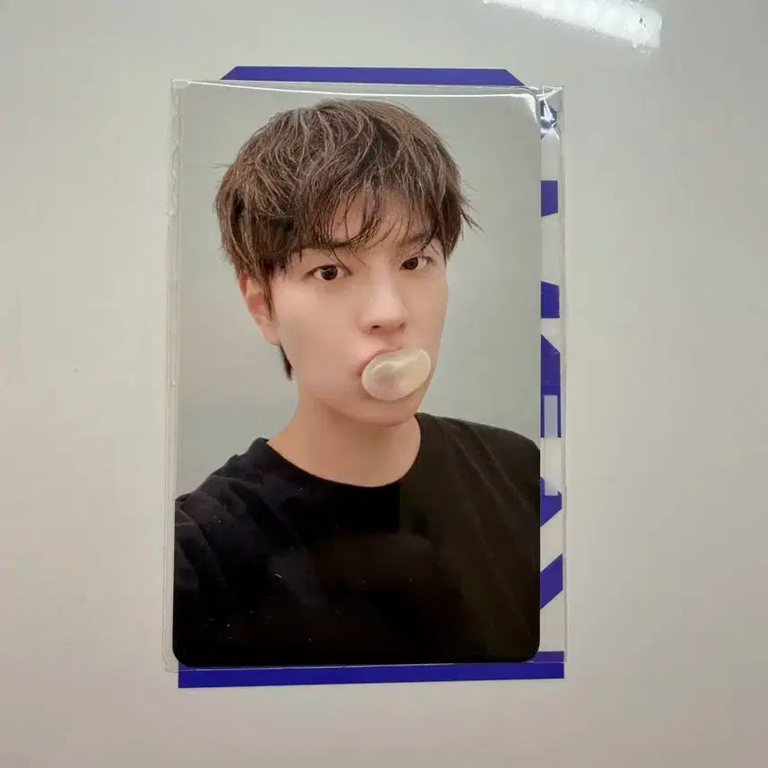 스키즈 카르마 팬즈샵 아코디언 특전 풍선껌 승민 포카