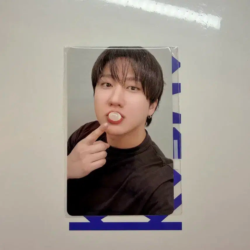 스키즈 카르마 팬즈샵 아코디언 특전 풍선껌 창빈 포카