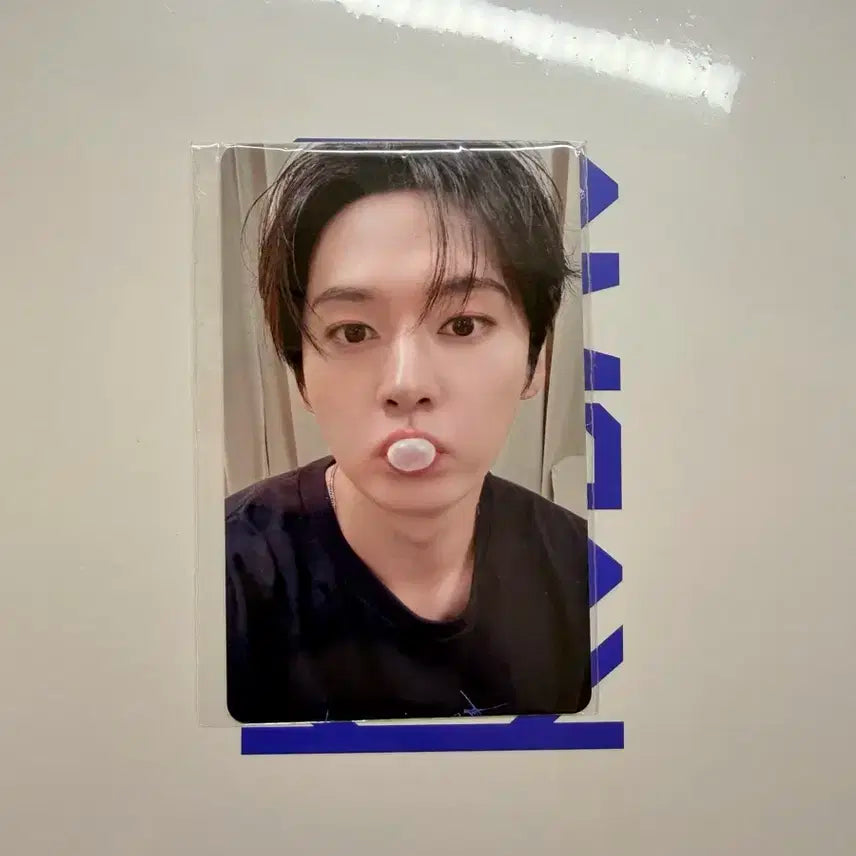 스키즈 카르마 팬즈샵 아코디언 특전 풍선껌 리노 포카