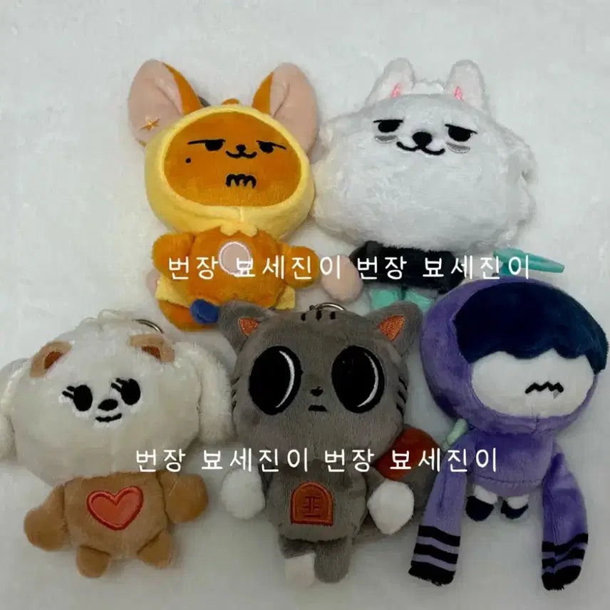 투바투 뿔바투 1차 일괄