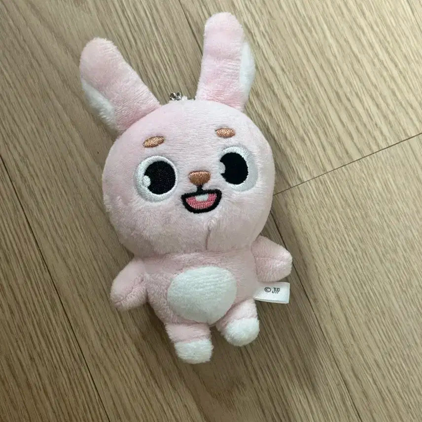 데이식스 백참 필끼