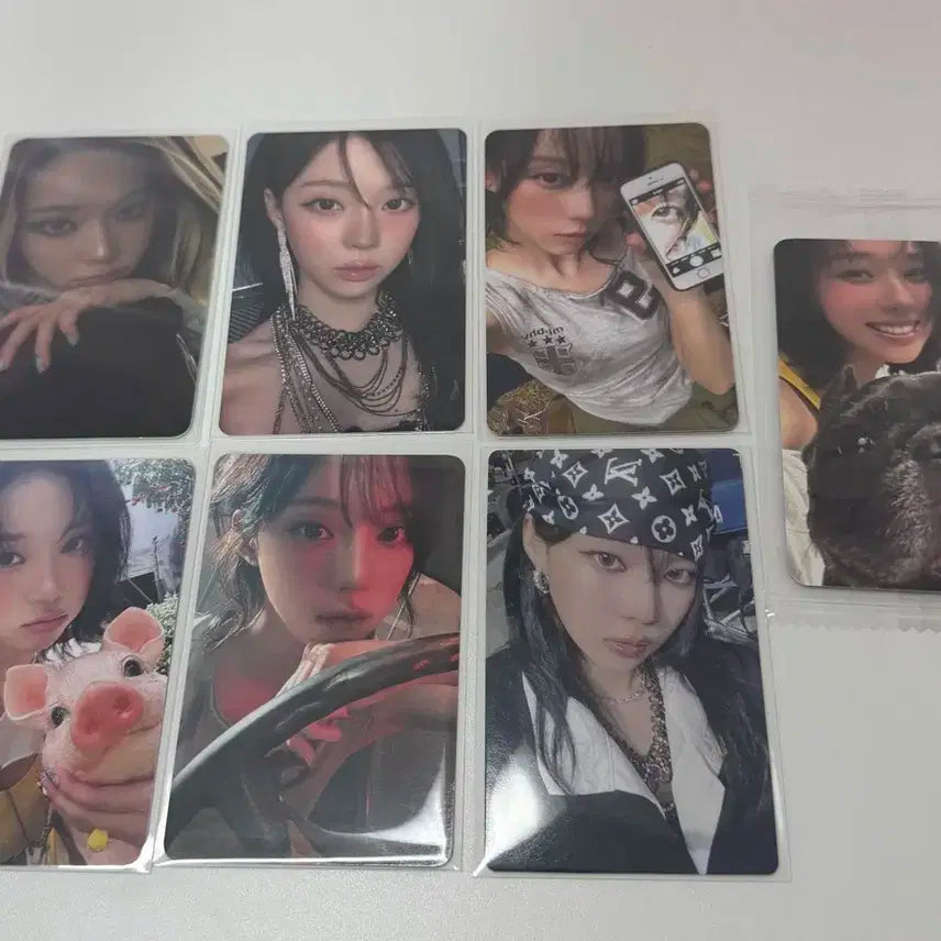 닝닝 리치맨 6사 분철 판매 현물 디마뮤 멬스 앺뮤에버라인점프업케타포나눔