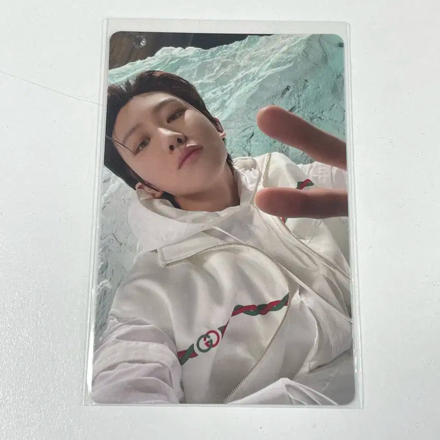 세븐틴 디에잇 서명호 섹터17 달링 앨범 컴팩트버전 포카 포토카드