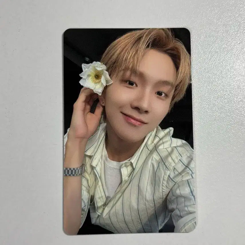 보넥도 디액션 the action 위버스 특전 운학 포카