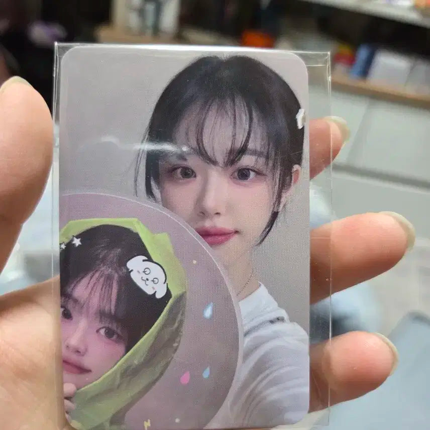 QWER 쵸단 팝업포카