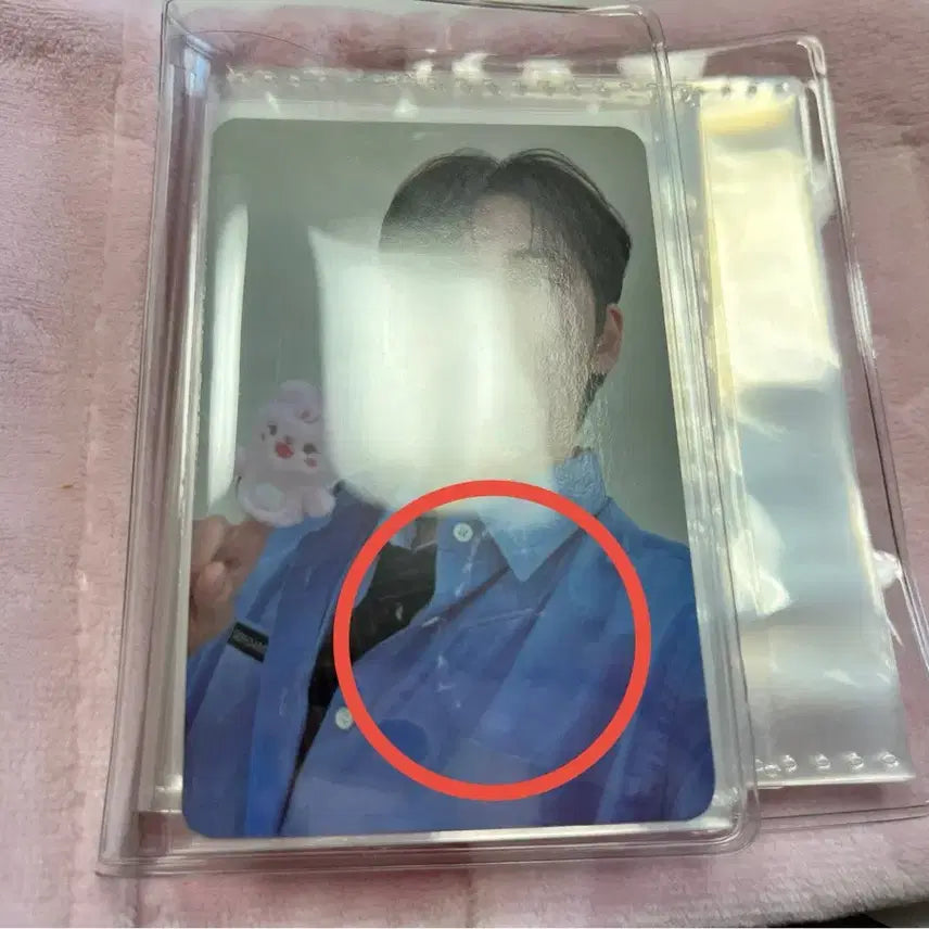 데이식스 쁘띠멀즈 콜렉트북 필