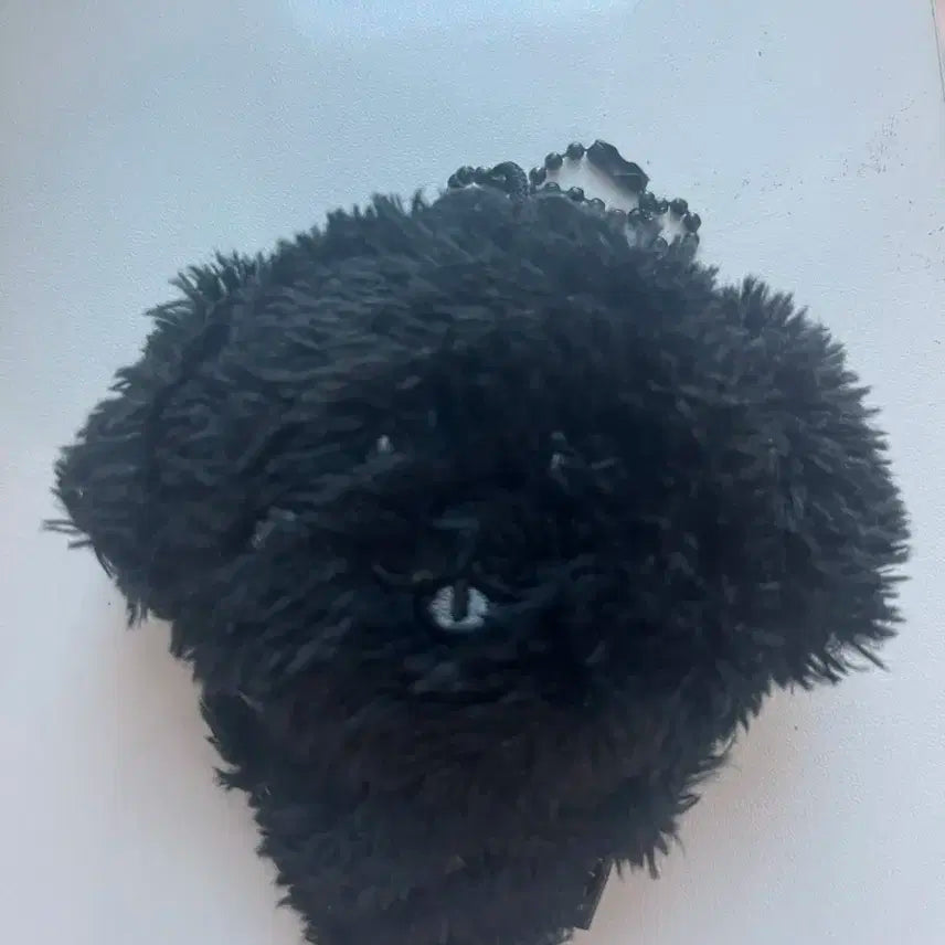 댕트리버 시크릿 양도 박스 o