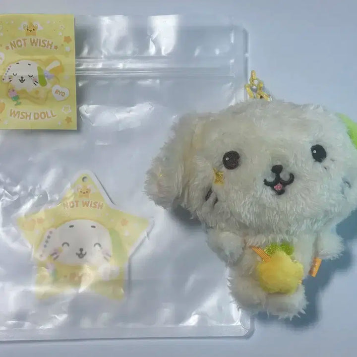 NCT WISH 위시돌 룐룐 양도