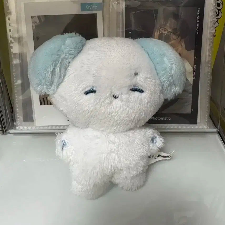 보넥도 솜재현 양도