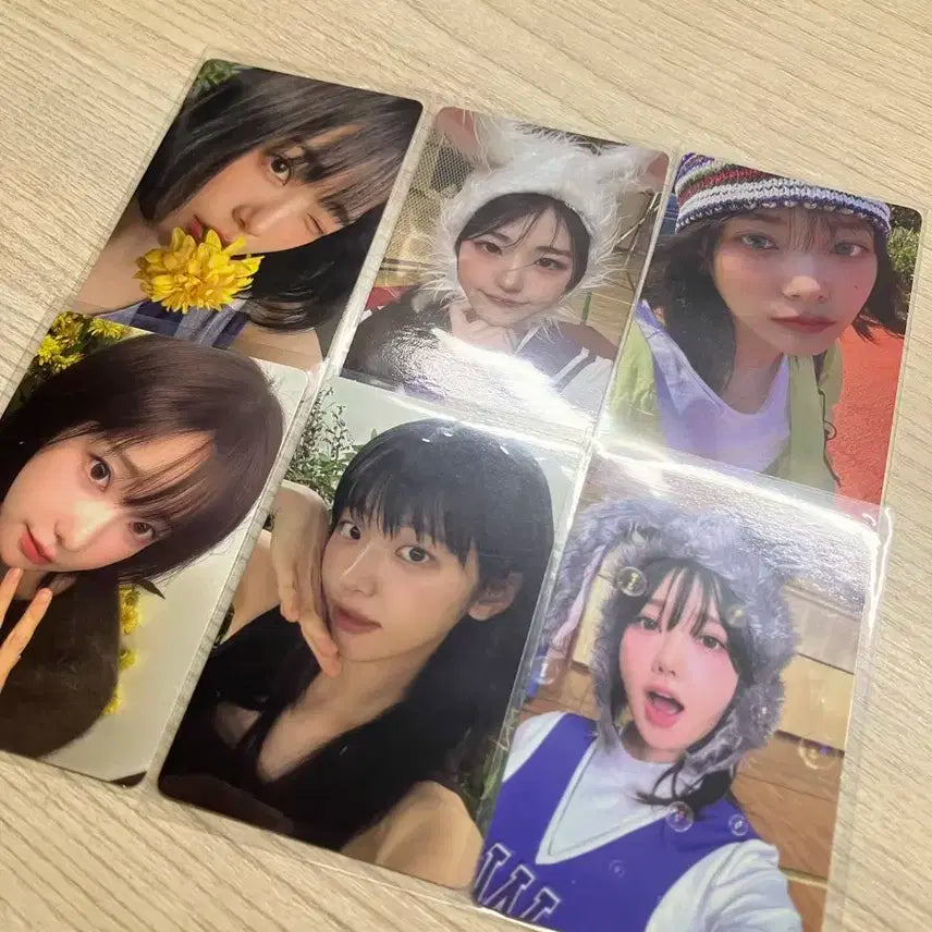 QWER 포카 일괄 판매