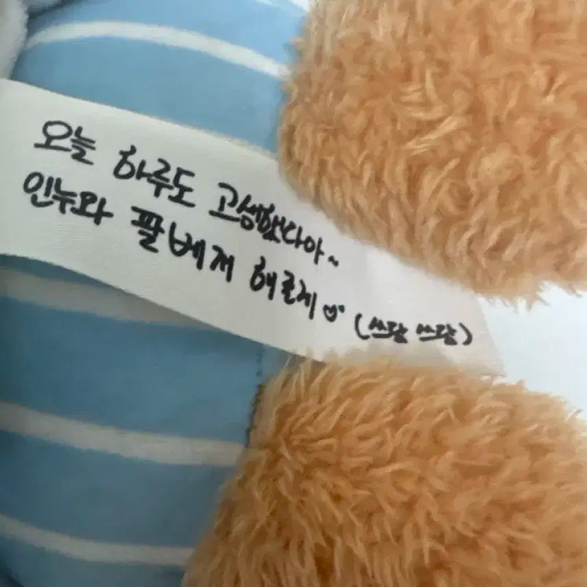 제로베이스원 성한빈 메세지 인형