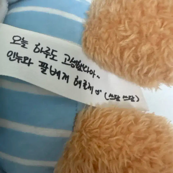 제로베이스원 성한빈 메세지 인형