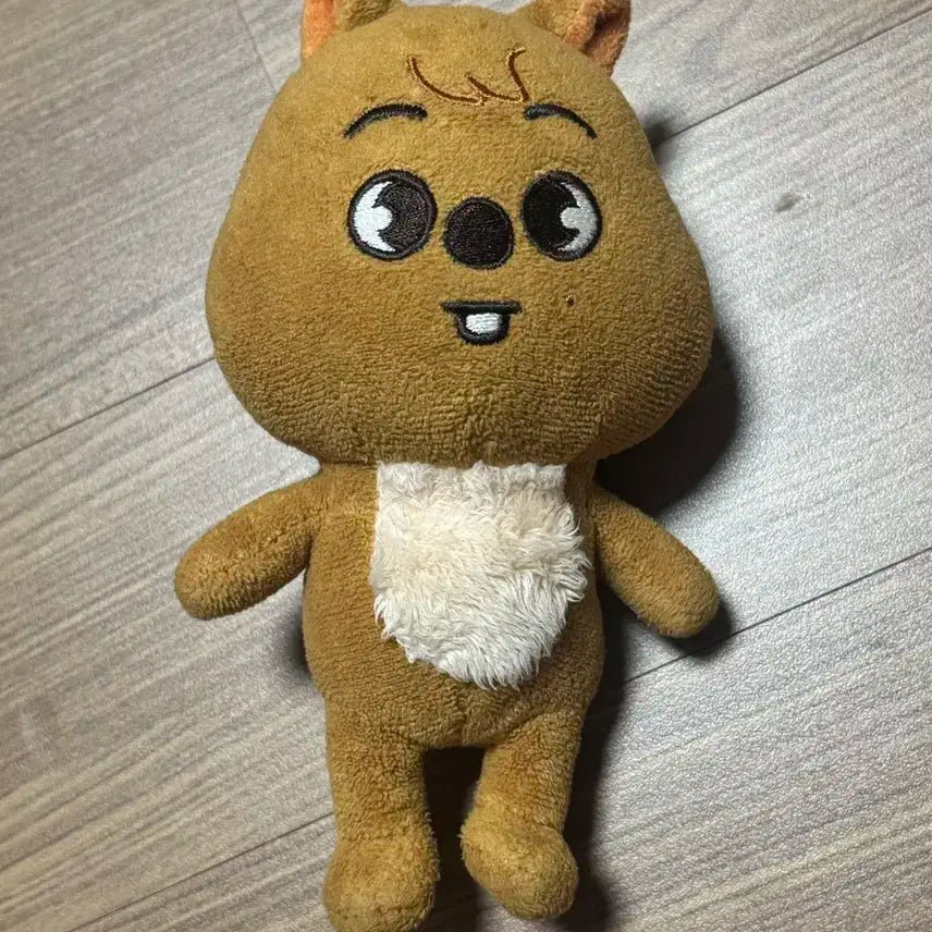 스트레이키즈 스키즈 스키주 한쿼카 한지성 개똥이