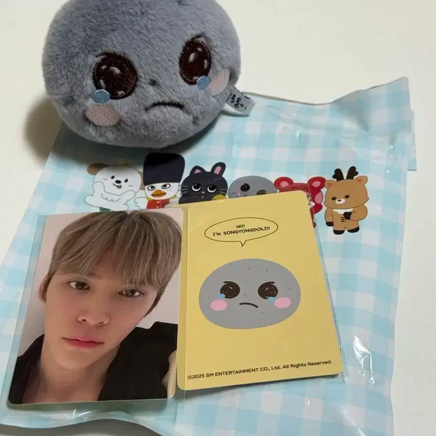 라이즈 중국 상하이 원더랜드 팝업 은석 송용돌이 블라인드박스 스페셜