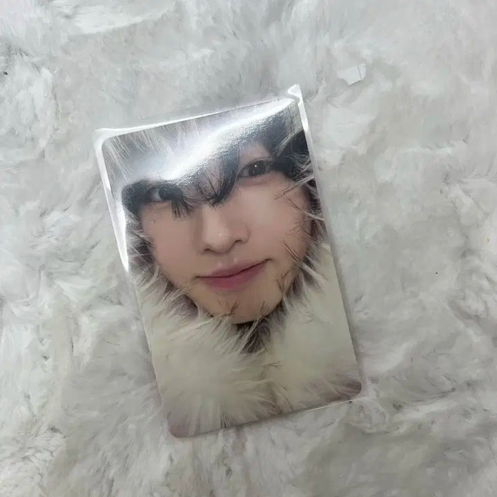 엔시티위시 사쿠야 컬러 초회한정반 미라클 포카 판매 유우시리쿠시온재희료