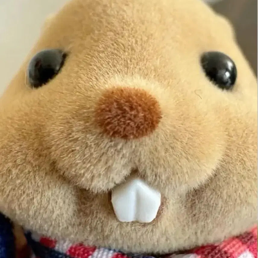 엔시티위시 사쿠야 컬러 초회한정반 미라클 포카 판매 유우시리쿠시온재희료