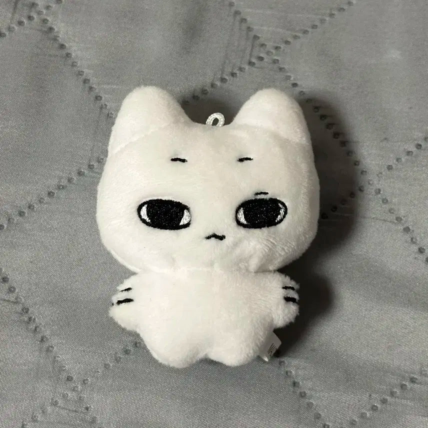 보넥도 성호 이웃집 성냐 인형