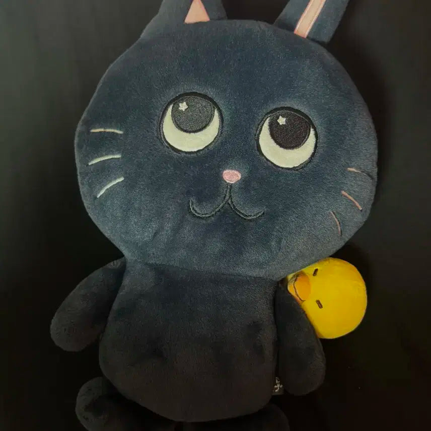 라이즈 원빈 대왕토냥덕 판매