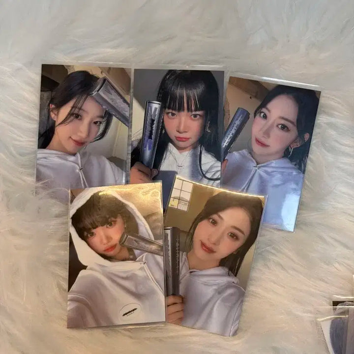 르세라핌 단체 피어나다 팬미팅 포토카드 2023