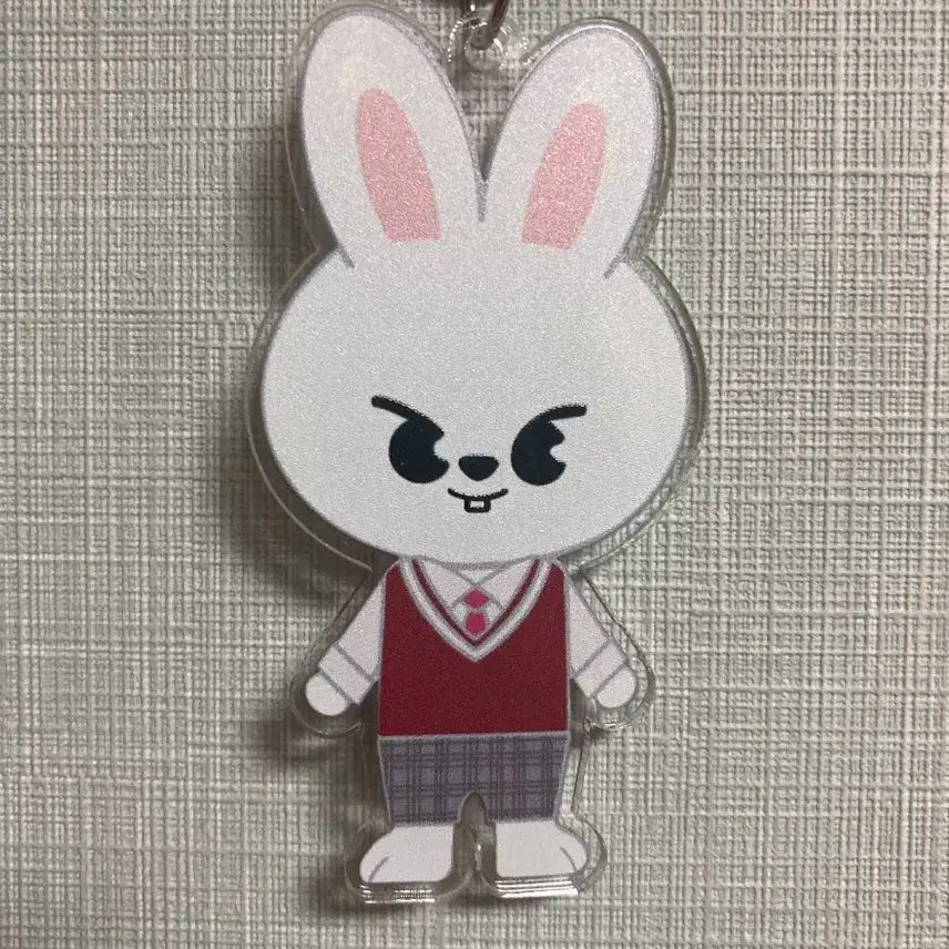 스키주 비공굿 리빗 키링.