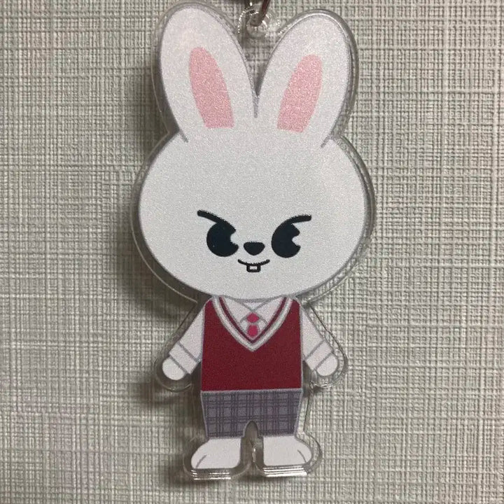 스키주 비공굿 리빗 키링.