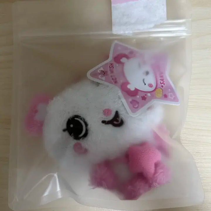 엔시티위시 인형 사쿠야 팡 양도