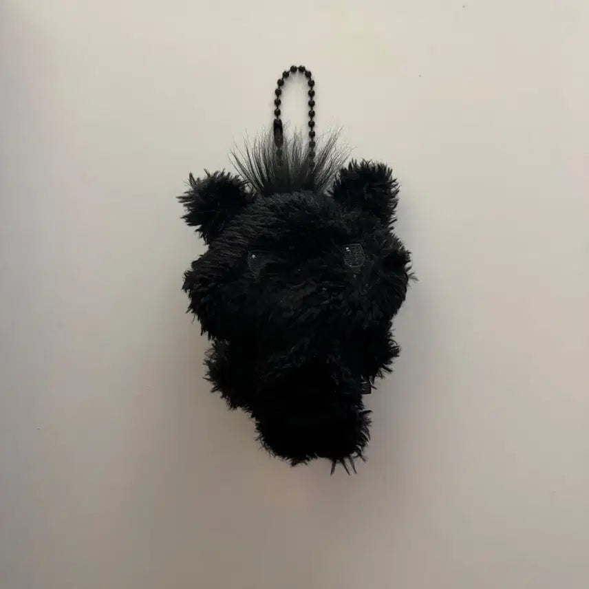 엔시티 위시 시온 시오닝 시크릿 컬러돌 양도