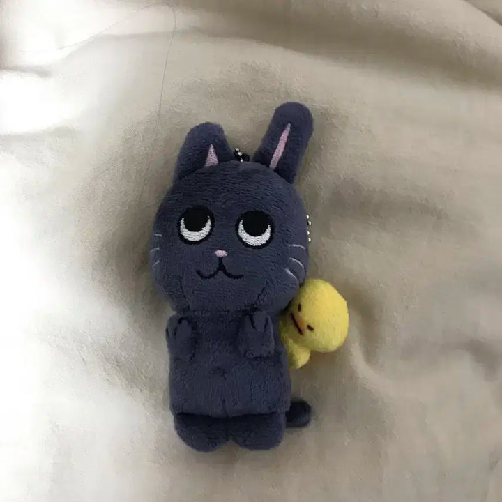 라이즈 토냥덕 1기