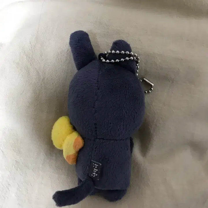 라이즈 토냥덕 1기