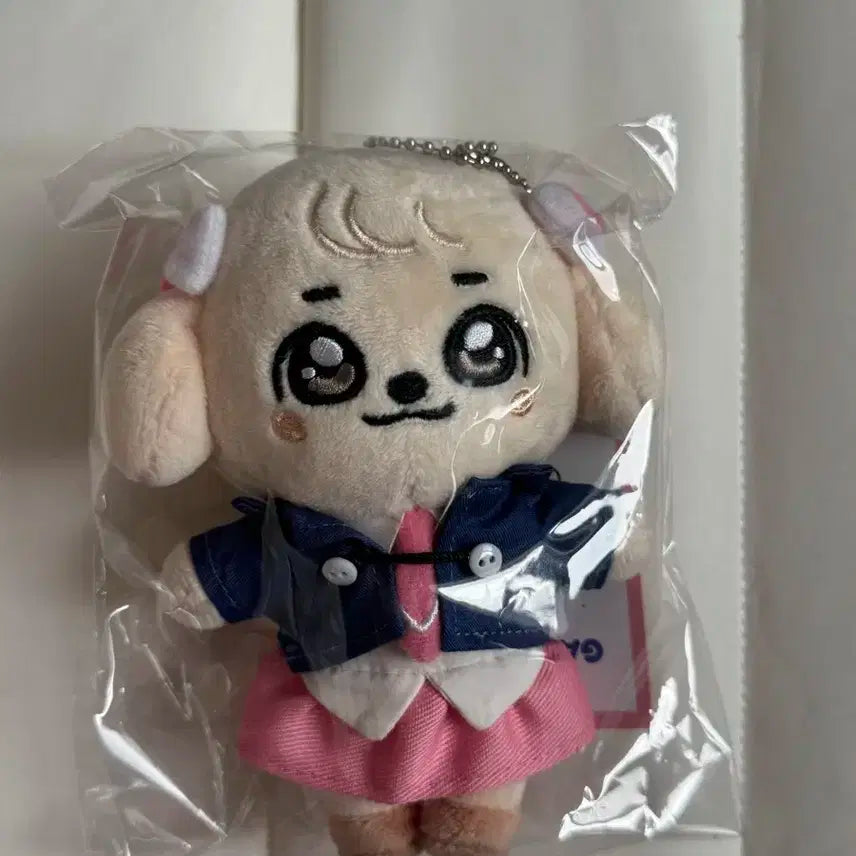 미니브 스쿨 강안지 키링