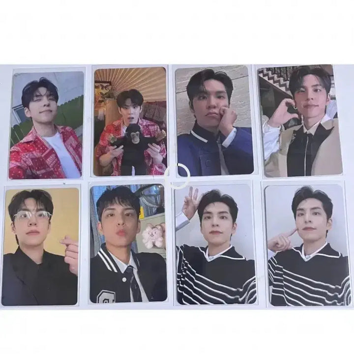 데이식스 원필 포카 55장 일괄양도