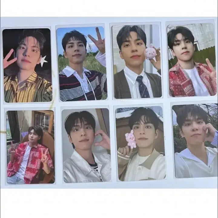 데이식스 원필 포카 55장 일괄양도