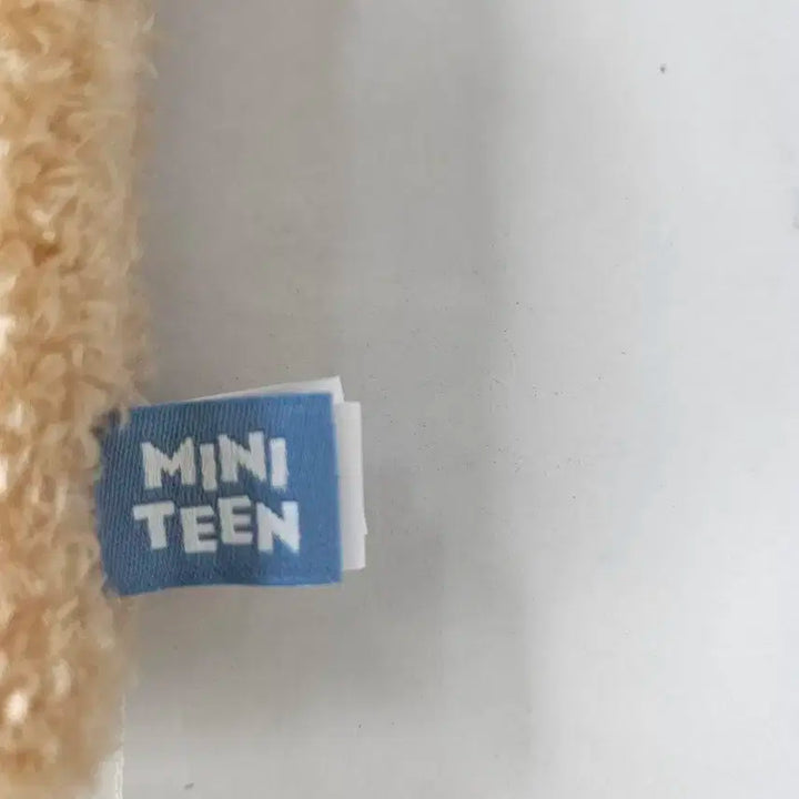 새상품) 세븐틴 MINITEEN 인형 포토카드 홀더 판매합니다