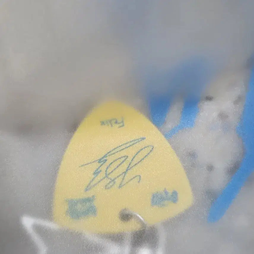 스테이존 2일차 풀셋 양도 기타 피크 키링 필릭스