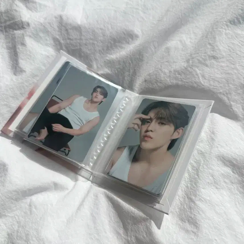 세븐틴 에스쿱스캐럿반