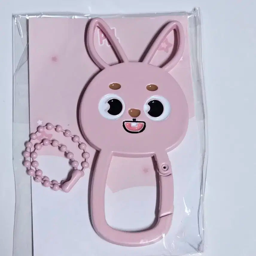 데이식스 데니멀즈 카라비너  원필