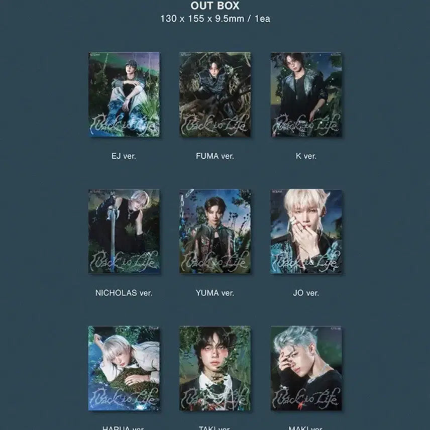 앤팀 미개봉 앨범 백투라이프 roar 세트