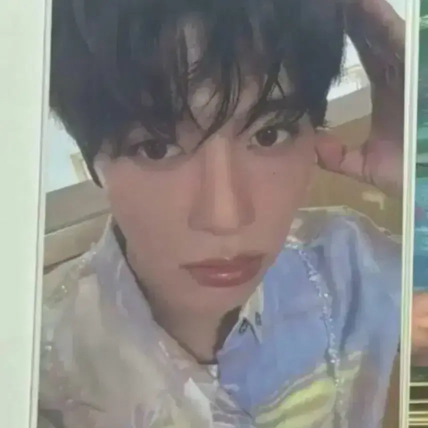 엔시티위시 에버라인 시온 특전 포카 컬러 포카 강아지귀 시온