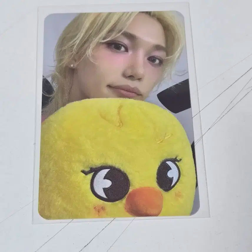 스키즈 도미네이트 팝업 필릭스 4만원 포카